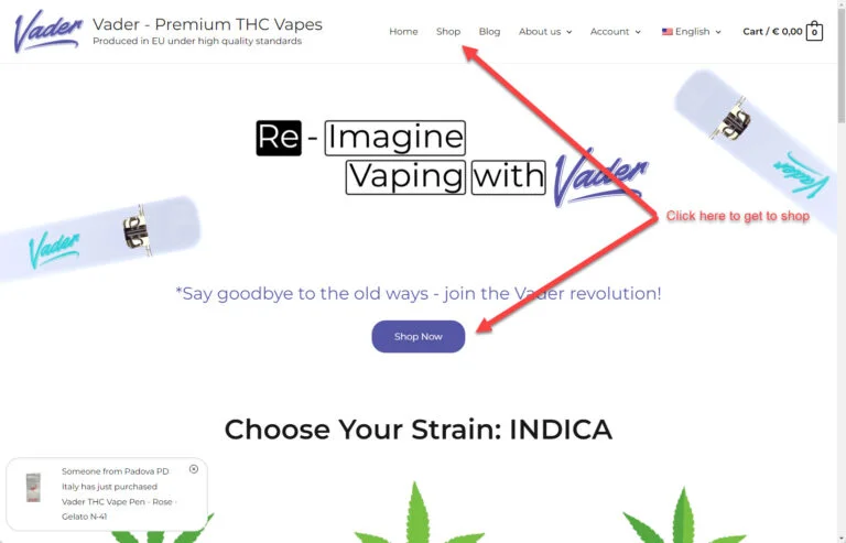 Come acquistare i vaporizzatori Vader THC | Guida all'ordine passo passo per l'UE Vai al negozio Vader