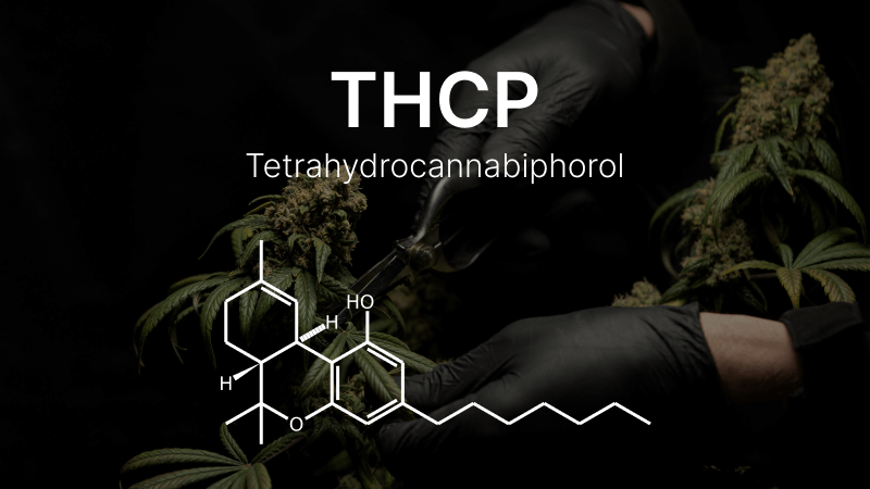 Was Ist THCP? THC-Vapes