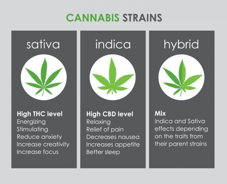 Unterschiede zwischen Sativa-Indica-Hybriden und Scaled 1 THC-Vapes