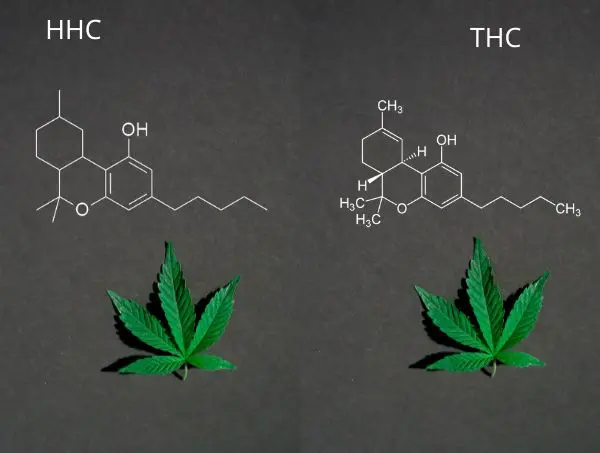 Hhc Y Thc.jpg THC-Verdampfer